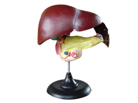 SD-093 33216ʮ֬cKģ
